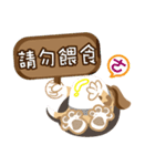 Fat old rice dog show time（個別スタンプ：10）