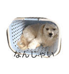 ちーとくう（個別スタンプ：2）