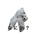 ちーとくう（個別スタンプ：3）