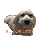 ちーとくう（個別スタンプ：6）