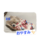 ちろちろりん（個別スタンプ：2）