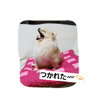 ちろちろりん（個別スタンプ：4）