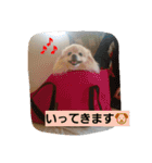 ちろちろりん（個別スタンプ：8）