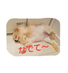 ちろちろりん（個別スタンプ：12）