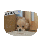 ちろちろりん（個別スタンプ：15）