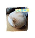 ちろちろりん（個別スタンプ：20）