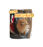 ちろちろりん（個別スタンプ：22）