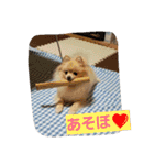ちろちろりん（個別スタンプ：23）