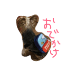 ヴィヴィ（個別スタンプ：8）