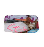 ヴィヴィ（個別スタンプ：20）