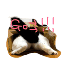 こまちといぶり（個別スタンプ：10）