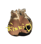 こまちといぶり（個別スタンプ：12）
