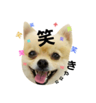 ぶちゃかわタロウさん（個別スタンプ：4）