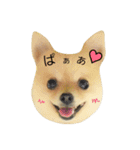 ぶちゃかわタロウさん（個別スタンプ：5）