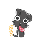 黒ラブのちょこあ（個別スタンプ：2）
