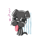 黒ラブのちょこあ（個別スタンプ：3）