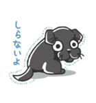 黒ラブのちょこあ（個別スタンプ：9）