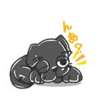 黒ラブのちょこあ（個別スタンプ：15）