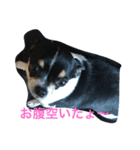 ねねまく日和（個別スタンプ：2）