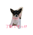 ねねまく日和（個別スタンプ：7）