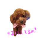 みんなのピアノちゃん（個別スタンプ：8）