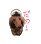 そぼろです（個別スタンプ：7）