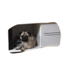 ぬまたやまだ（個別スタンプ：6）