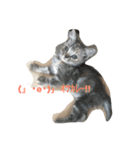 ねこ あいさつ（個別スタンプ：10）
