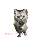 ねこ あいさつ（個別スタンプ：11）