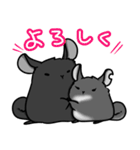 チンチラの小明神2（個別スタンプ：22）