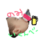 k.saaya（個別スタンプ：3）