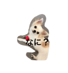 ピピィとシシィ（個別スタンプ：6）