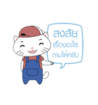 Cat salesman（個別スタンプ：34）