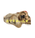 あいさつしたいよね（個別スタンプ：1）