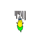 corn corn（個別スタンプ：5）