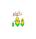 corn corn（個別スタンプ：17）