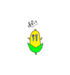 corn corn（個別スタンプ：21）