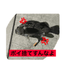 釣りに行く（個別スタンプ：3）