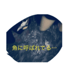 釣りに行く（個別スタンプ：8）