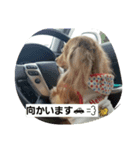 mache（個別スタンプ：4）