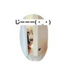 mache（個別スタンプ：5）
