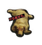 mache（個別スタンプ：8）