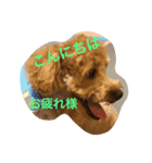 こんにちは。挨拶（個別スタンプ：1）