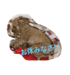 こんにちは。挨拶（個別スタンプ：2）