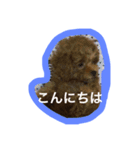 こんにちは。挨拶（個別スタンプ：3）