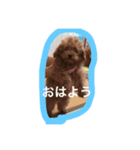 こんにちは。挨拶（個別スタンプ：4）