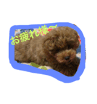 こんにちは。挨拶（個別スタンプ：5）