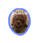 こんにちは。挨拶（個別スタンプ：7）