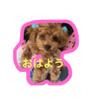こんにちは。挨拶（個別スタンプ：8）