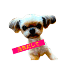 うちのナナちゃん、ちょっとビビ（個別スタンプ：2）
